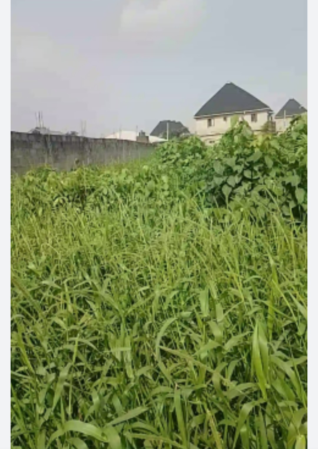 Land for sale